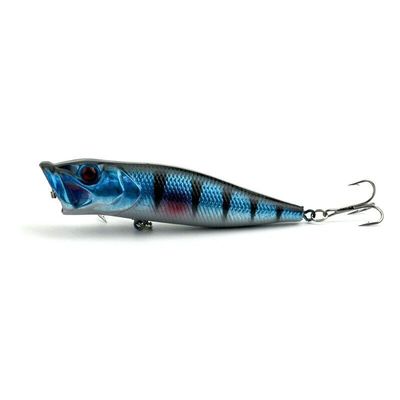 Popper -  Black / Blue