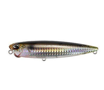 Pencil Popper - Chrome Black Back