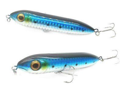Spook Dog  - Blue / Chrome