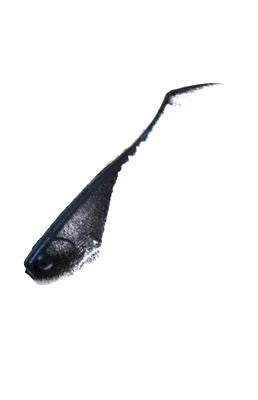 Swim Shad 2" - White Black